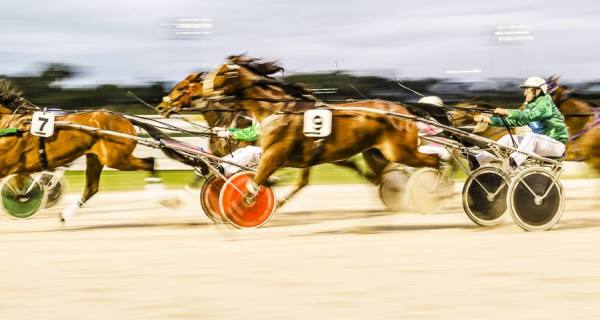Photograph Andrew Lever Horse Trotting 1 on One Eyeland